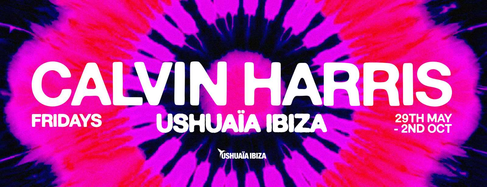 Calvin Harris in Ibiza