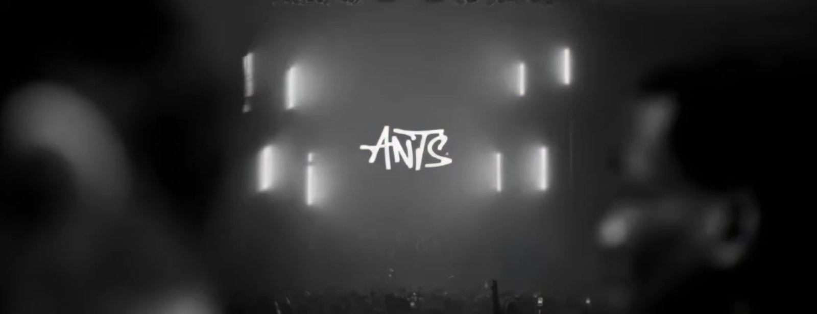 Ants in Ibiza