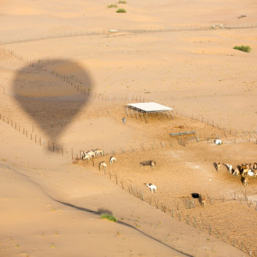 Photo from Sunset Tour - Hot Air Balloon Flight with Transfers in Dubai: Gallery Photo n14yxn
