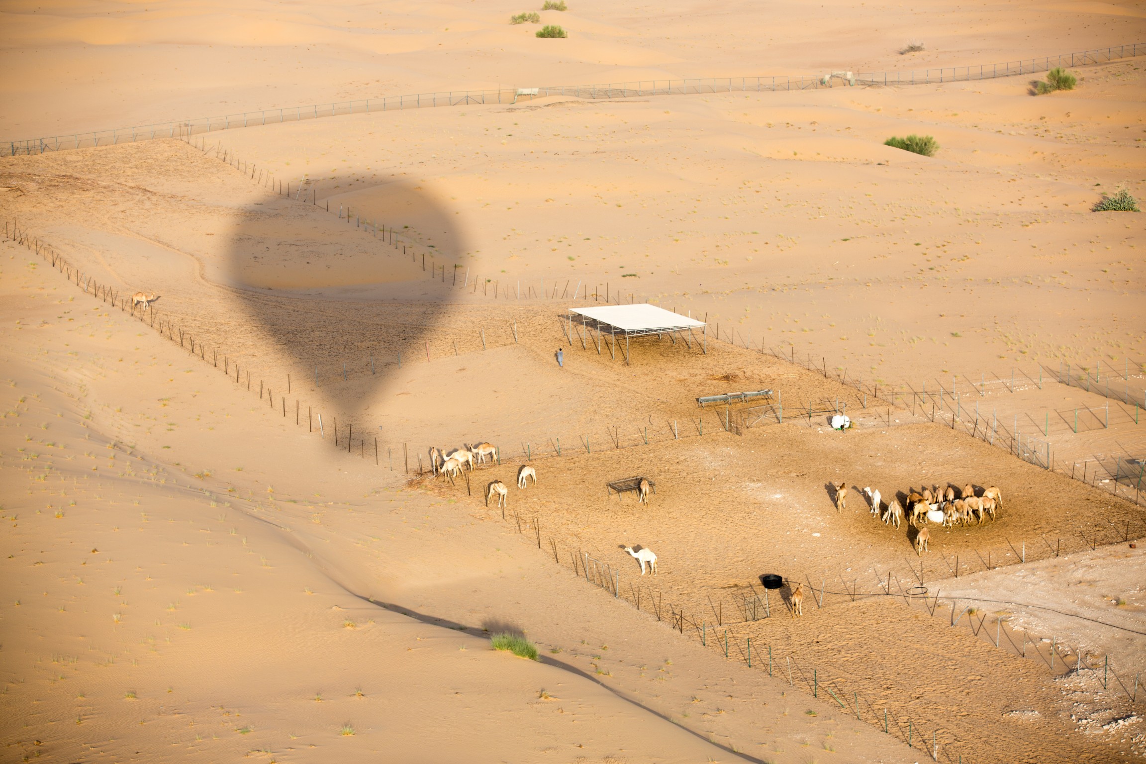 Photo from Sunset Tour - Hot Air Balloon Flight with Transfers in Dubai: Gallery Photo n14yxn