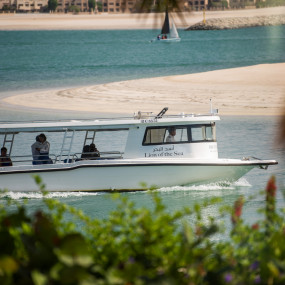 Oysters Pop-Up Series by Marriott International Luxury Brands in RAK: Gallery Photo z91bmn