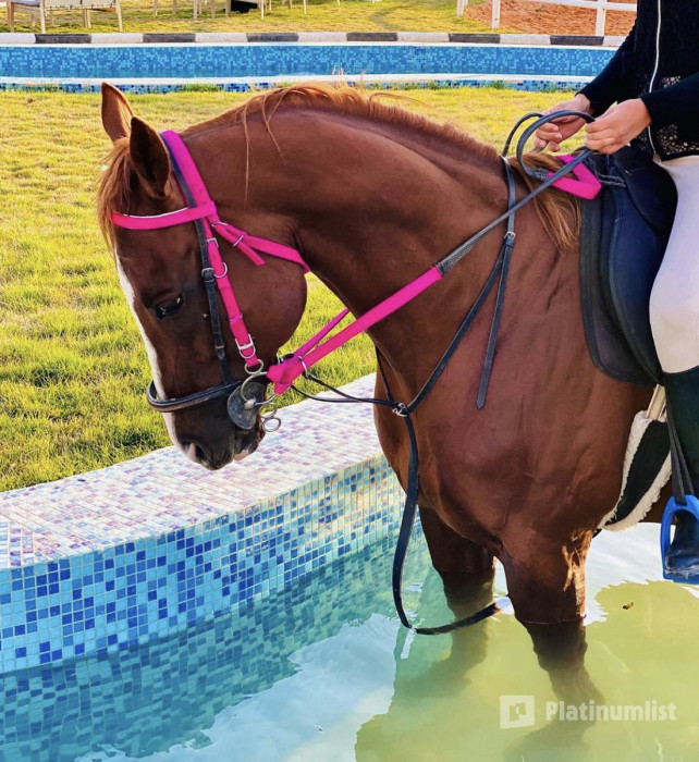 Alfarisa Club в Эр-Рияд: Галерея фото 3yyg43