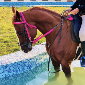 Alfarisa Club в Эр-Рияд: Галерея фото 3yyg43