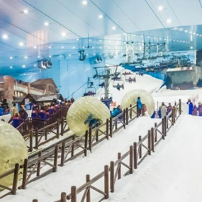 Photo from مدينة الثلج in الرياض: Gallery Photo nkorv3