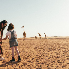 Photo from Nofa Riyadh, Radisson Collection in Riyadh: Gallery Photo zwew0z