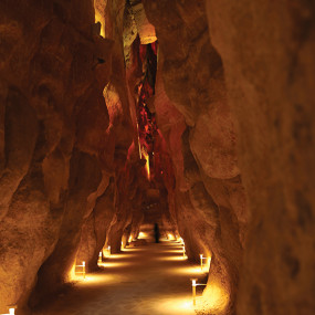 Photo from جولة الأحساء in الرياض: Gallery Photo zw89pz