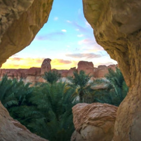 Photo from جولة الأحساء in الرياض: Gallery Photo zm6ww3