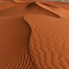 38rq6z استديو الصور :الرياض في ركوب الدراجات الرباعية 38rq6z استديو الصور :الرياض في ركوب الدراجات الرباعية