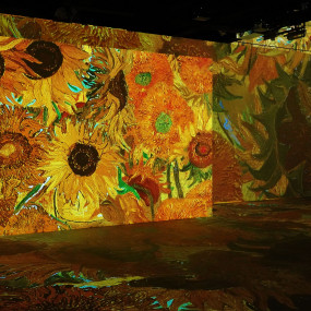 Photo from Van Gogh Immersive Digital Art Exhibition at Infinity des Lumieres in Dubai: Gallery Photo n22y4n