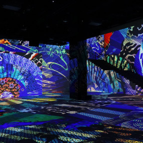 Photo from Van Gogh Immersive Digital Art Exhibition at Infinity des Lumieres in Dubai: Gallery Photo z741wz