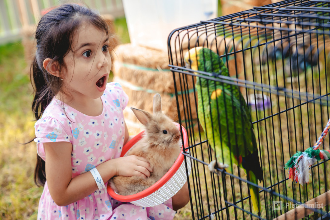 3deg6z استديو الصور :دبي في لي ماخشي 3deg6z استديو الصور :دبي في لي ماخشي