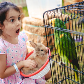 3deg6z استديو الصور :دبي في لي ماخشي 3deg6z استديو الصور :دبي في لي ماخشي