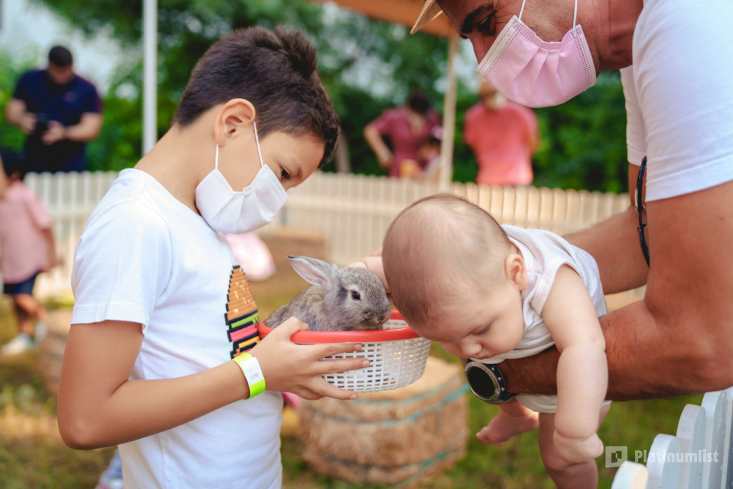 Le Marche in Dubai: Gallery Photo z719dz Le Marche in Dubai: Gallery Photo z719dz