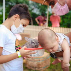 z719dz استديو الصور :دبي في لي ماخشي z719dz استديو الصور :دبي في لي ماخشي