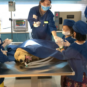 Photo from KidZania Abu Dhabi in Abu Dhabi: Gallery Photo 3dek6z