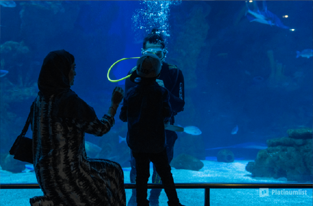 Fakieh Aquarium in Jeddah: Gallery Photo n62oyz