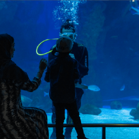 Fakieh Aquarium in Jeddah: Gallery Photo n62oyz