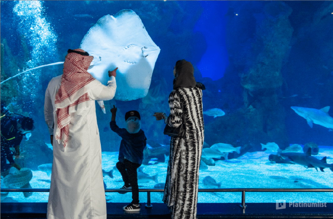 Fakieh Aquarium in Jeddah: Gallery Photo n1v9pn