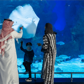 Fakieh Aquarium in Jeddah: Gallery Photo n1v9pn