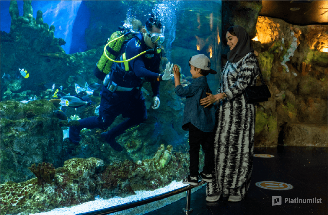 Fakieh Aquarium in Jeddah: Gallery Photo 3dedkz Fakieh Aquarium in Jeddah: Gallery Photo 3dedkz