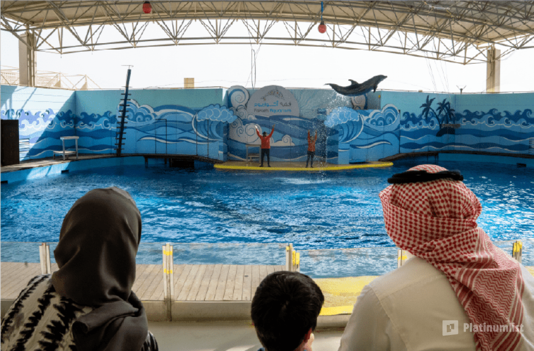 Fakieh Aquarium in Jeddah : Galerie de photos z71gxz