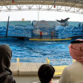 Photo from فقيه أكواريوم in جدة: Gallery Photo z71gxz