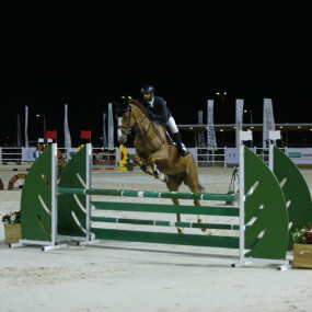 Photo from بطولة كأسي أمير منطقة الرياض والاتحاد السعودي للفروسية لقفز الحواجز in الرياض: Gallery Photo z96q8z