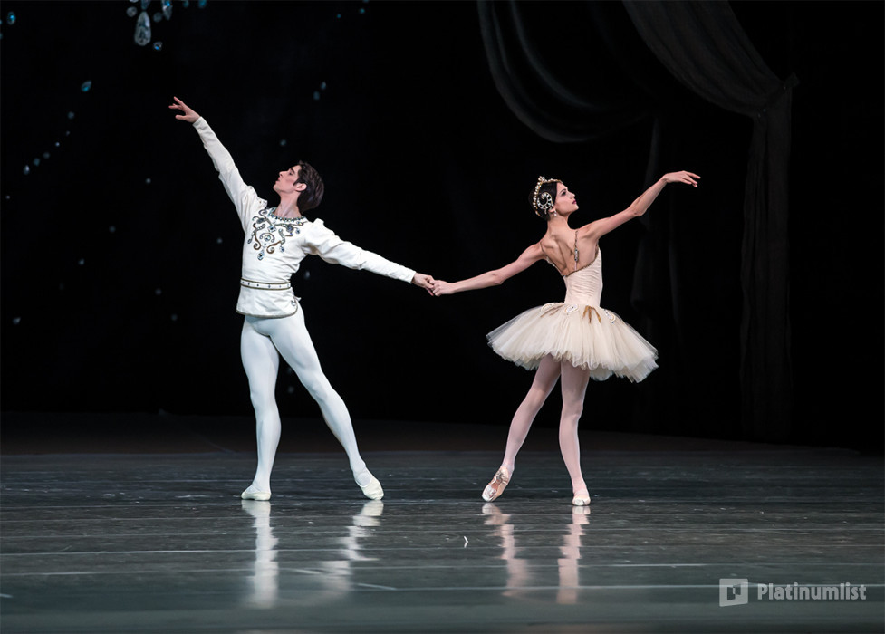 Ballet Under The Stars 2019 в Дубай: Галерея фото 3e789n