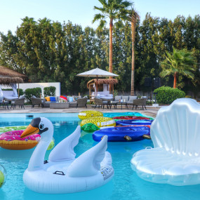 Photo from Alfa's Beach House in Jeddah in Jeddah: Gallery Photo 3b11gn