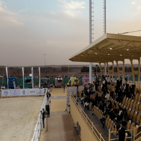 Photo from The Championship Of The Local Production Of Purebred Arabian Horses in Riyadh: Gallery Photo 3dkkvy