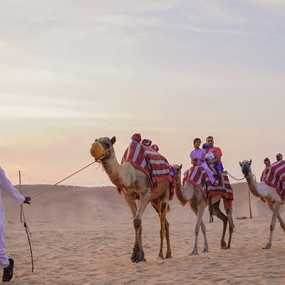 Photo from سفاري صحراوي مسائي على الكثبان الحمراء مع مشاوي في مخيم الخيمة in دبي: Gallery Photo zv56wb