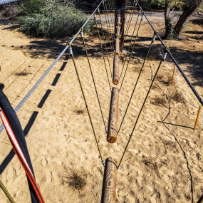 Photo from Aventura - The Nature Adventure Park in دبي: Gallery Photo m3q41n