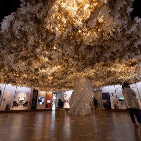 Photo from Expo City Dubai - Attractions Pass in Dubai: Gallery Photo 3b8vjg