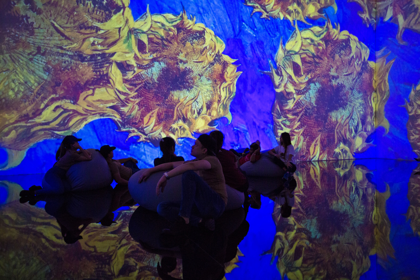 Photo from ToDA - Van Gogh X Japan in Dubai in Dubai: Gallery Photo 3r5qe1