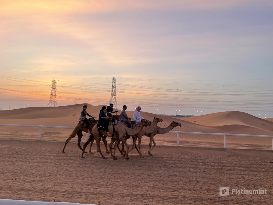Experience Camels at Arabian Desert Camel Riding Center in Dubai: Gallery Photo 3pevdx Experience Camels at Arabian Desert Camel Riding Center in Dubai: Gallery Photo 3pevdx