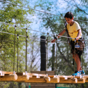 Photo from Aventura - The Nature Adventure Park in دبي: Gallery Photo 53do6n