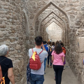 Photo from Bahrain Guided Tour - Private Tours in Manama: Gallery Photo n14xxb