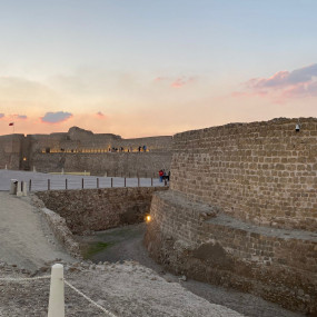 Photo from Bahrain Desert Tour in Manama: Gallery Photo 3y5dw0