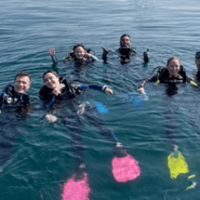 Discover Scuba Dive at Fujairah in Fujairah: Gallery Photo n28d40