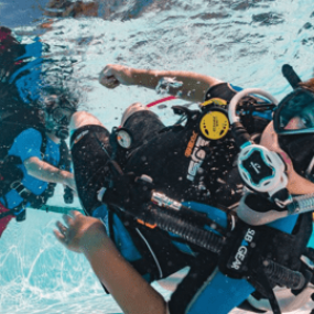 Photo from Scuba Diving for Kids Padi Bubble Maker Class in Dubai: Gallery Photo zv5v94