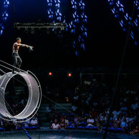 Photo from Fontana Show/Circus in Abu Dhabi in Abu Dhabi: Gallery Photo z7yqmx