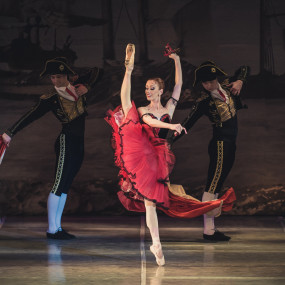 Photo from Don Quixote in Exhibition World Bahrain in Manama: Gallery Photo 3e5y50