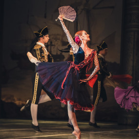 Photo from Don Quixote in Exhibition World Bahrain in Manama: Gallery Photo 3r5g5v