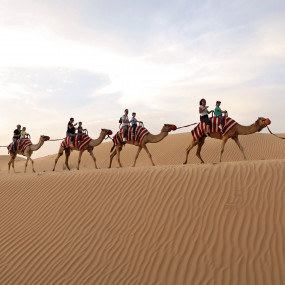 Photo from رحلات السفاري الصحراوية الصباحية في دبي: ركوب الكثبان الرملية والتزلج على الرمال وركوب الجمال in دبي: Gallery Photo 3qbpm6