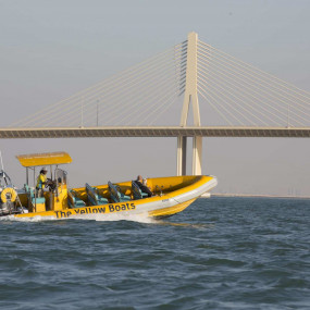 Photo from 60 Minute - Corniche Abu Dhabi Sightseeing Boat Tour in Abu Dhabi: Gallery Photo 34kovb