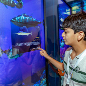 Photo from AL SHINDAGHA MUSEUM YOUNG ADVENTURERS’ SUMMER CAMP in Dubai: Gallery Photo 3e5jd9