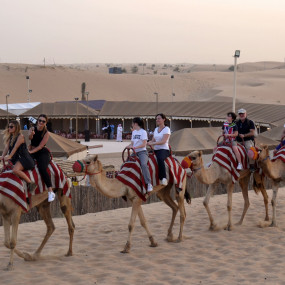 Photo from Premium Red Dunes Safari with Camel Ride & 3 Cuisines at Al Khayma Camp in Dubai: Gallery Photo zv545b
