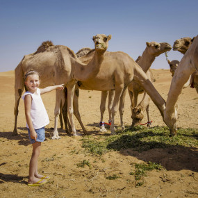 Photo from Premium Red Dunes Safari with Camel Ride & 3 Cuisines at Al Khayma Camp in Dubai: Gallery Photo 38vkvj