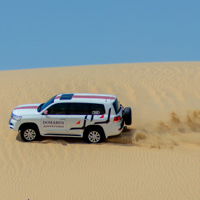 Фотография с Half Day Desert Safari, Doha в Доха: Галерея фото n08geq