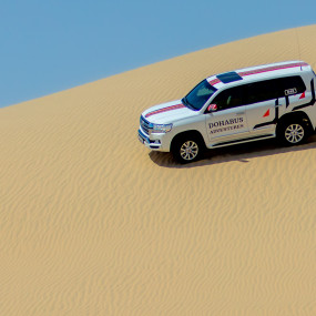 Photo from Full Day Desert Safari with Al Majles Resort, Doha in Doha: Gallery Photo zoo664
